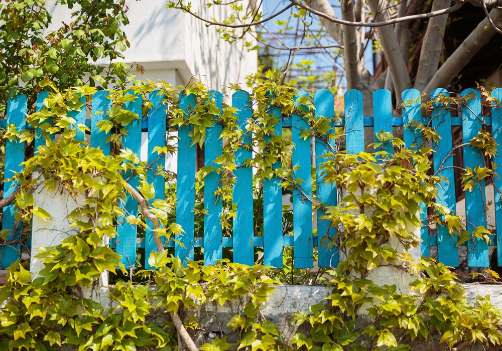 D&N Colors Painting Wood Repair & Fences Image 3