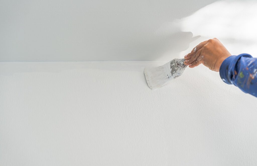 D&N Colors Painting Wall Celling